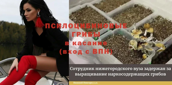 ешки Алексин