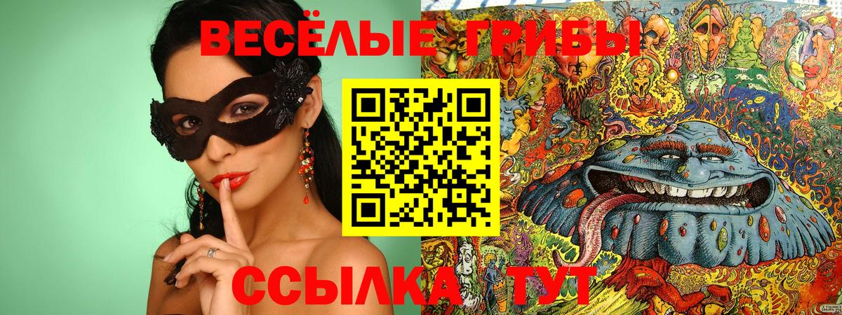 Галлюциногенные грибы ЛСД Звенигород