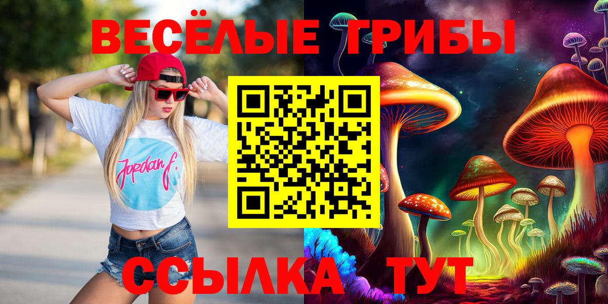 Звенигород  Псилоцибиновые грибы MAGIC MUSHROOMS  наркотики  Вход с VPN 